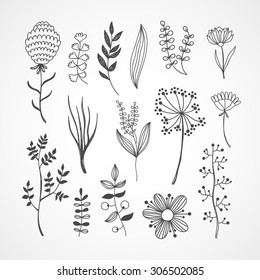 Plants, herbs, flowers in hand drawn style. Nature elements made in vector