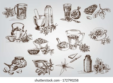 Plants And Herbs In Folk Medicine. Set Of Vector Sketches