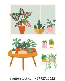 Plants at home. Garden flower pots, greens stand on table, window and shelf. Isolated doodle botanical elements vector illustration