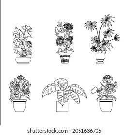 
Plants at home, monstera and other exotical plants.