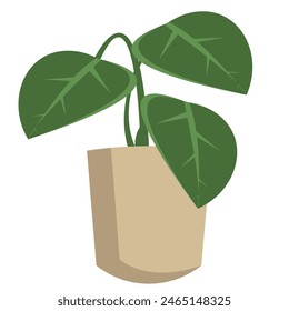 plants, houseplants, natural, leaves, earth, flower pots, flowers, flat vector illustration.