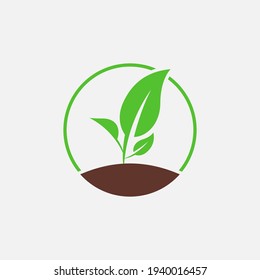 Plants icon logo vector illustration. Nature symbol.