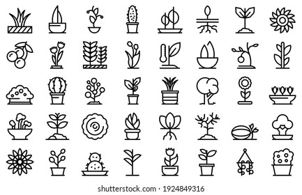 Plants icon. Outline plants vector icon for web design isolated on white background