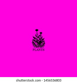 plants icon sign signifier vector