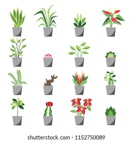 Plants icon. Use for decorating your blog, advertising, Card and etc.