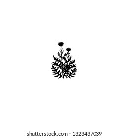plants icon vector