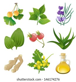 Plants icons for herbal medicine