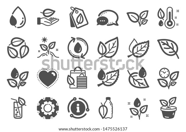 Vector De Stock Libre De Regalias Sobre Iconos De Plantas Hojas De Menta 1475526137