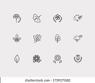 Plants icons set. Tulip and plants icons with yew tree, carnation and hornbeam. Set of fruit for web app logo UI design.