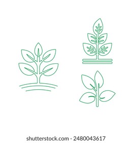 Ilustración de línea de Vector de plantas 