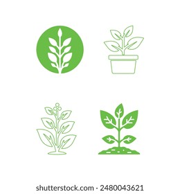 Plants icons Vector Line illustration 