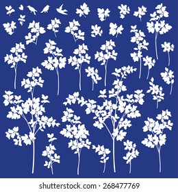 Plants illustration