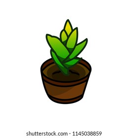 Plants Illustration Icon