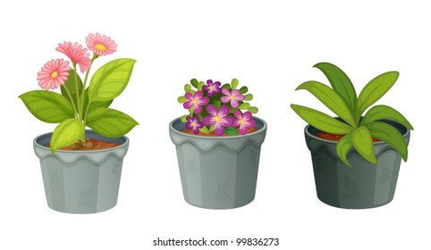 plants illustration on white background
