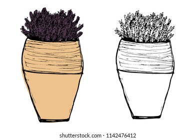 Plants illustrations. Hand drawn object for your design