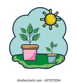 plants inside of flowerpot with sunny weather