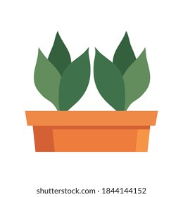Plantas dentro del diseño de la olla de naturaleza floral jardín adorno botánico belleza y flora Tema Vector ilustración