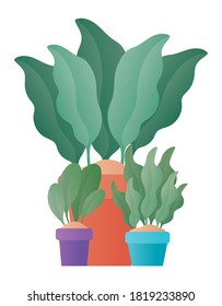 Plants inside pots design of Floral nature garden ornament botany decoration beauty and flora theme Vector illustration