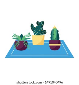 Plants inside pots design, Garden ornament nature botany natural and floral theme Vector illustration