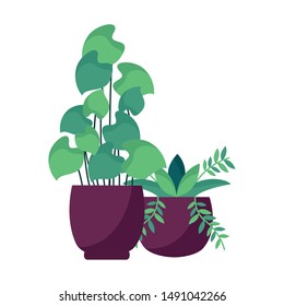 Plants inside pots design, Garden ornament nature botany natural and floral theme Vector illustration