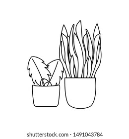 Plants inside pots design, Garden ornament nature botany natural and floral theme Vector illustration
