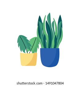 Plants inside pots design, Garden ornament nature botany natural and floral theme Vector illustration