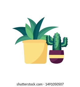 Plants inside pots design, Garden ornament nature botany natural and floral theme Vector illustration