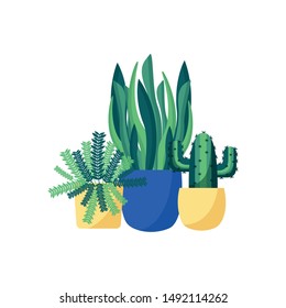Plants inside pots design, Garden ornament nature botany natural and floral theme Vector illustration