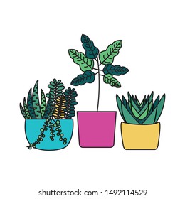 Plants inside pots design, Garden ornament nature botany natural and floral theme Vector illustration