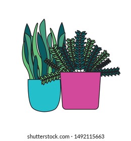 Plants inside pots design, Garden ornament nature botany natural and floral theme Vector illustration