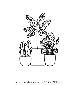 Plants inside pots design, Garden ornament nature botany natural and floral theme Vector illustration