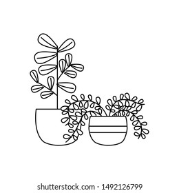 Plants inside pots design, Garden ornament nature botany natural and floral theme Vector illustration