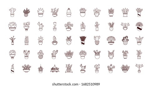 plants inside pots line style icon design of Floral nature garden ornament botany decoration beauty and flora theme Vector illustration