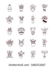 plants inside pots line style icon design of Floral nature garden ornament botany decoration beauty and flora theme Vector illustration