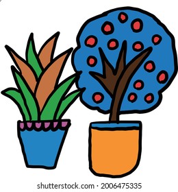 plants interior nature flower tree