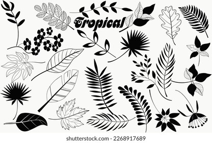 Plants isolated on white background,  Plants isolated on white background, Set tropical leaves hand drawn flat illustrations,