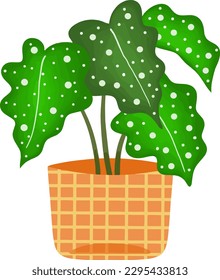 Plantas aisladas en olla naranja