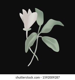 Plants isolated vector illustration. Clip art graphic design elements