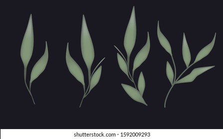 Plants isolated vector illustration. Clip art graphic design elements