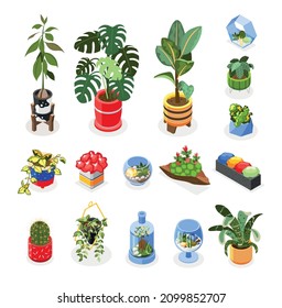 Plants isometric icons set with houseplants and hanging decoration isometric isolated vector illustration