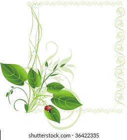 Plants and ladybird. Decorative frame. Vector