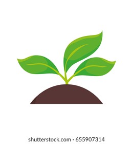 plants land ecology