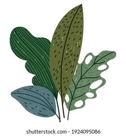 plants leaf foliage natural vegetation cartoon vector illustration