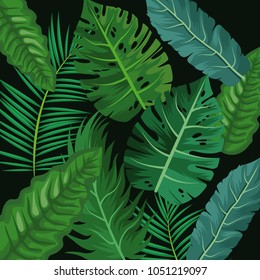 Plants and leaves