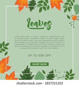 Plants and leaves background colorful for shopping sale templates