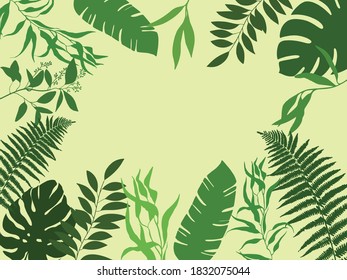 Fondo de plantas y hojas, ilustración vectorial