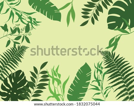 Plants and leaves background, vector illustration