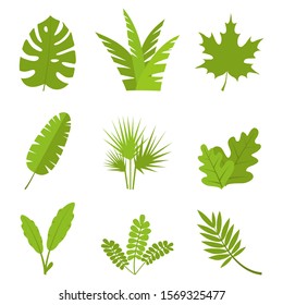 Plants, leaves, branches, bushes and pots set Flat vector illustration