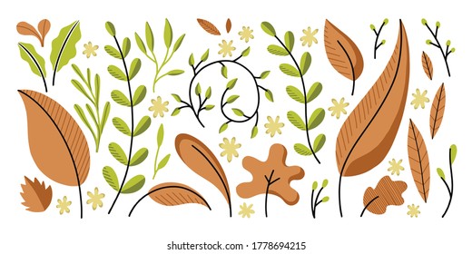 Plants, leaves, floral motifs, flowers set. Simple flat design.