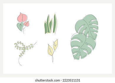 Plants leaves  